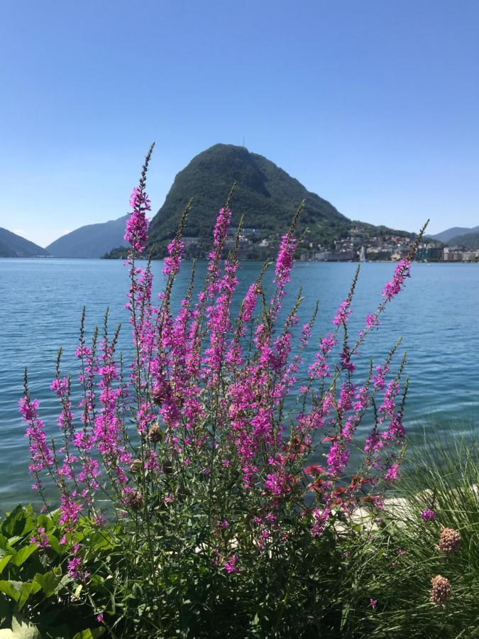 Connie S Home Free Parking Lugano Exterior foto